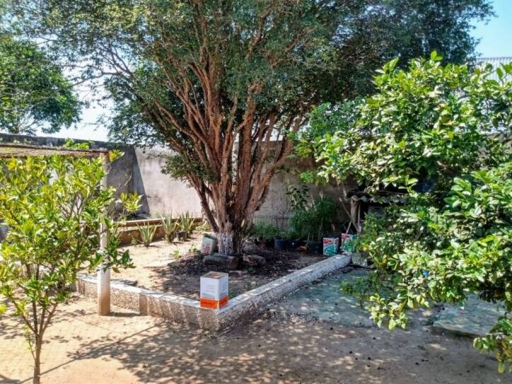 Chácara à venda com 2 quartos, 900m² - Foto 10