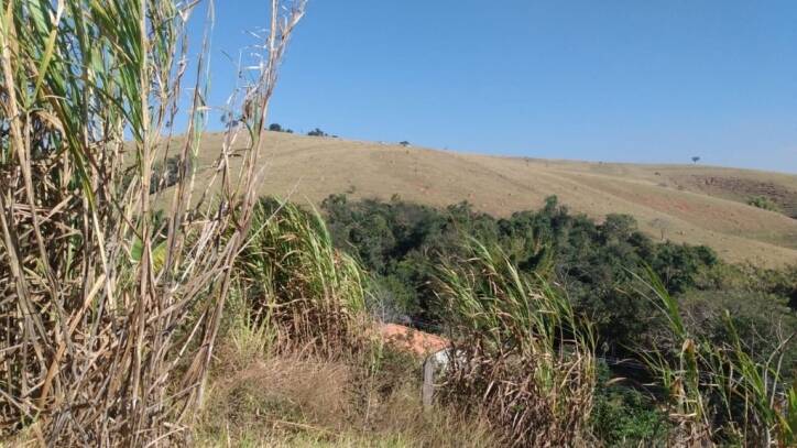 Chácara à venda com 2 quartos, 6000m² - Foto 22