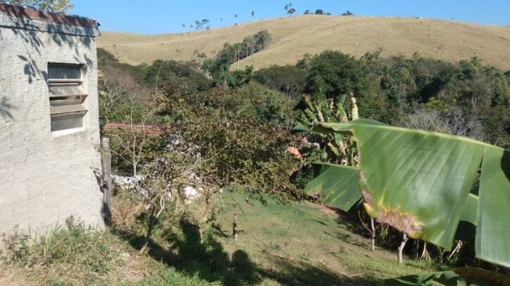 Chácara à venda com 2 quartos, 6000m² - Foto 24