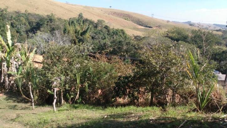 Chácara à venda com 2 quartos, 6000m² - Foto 25