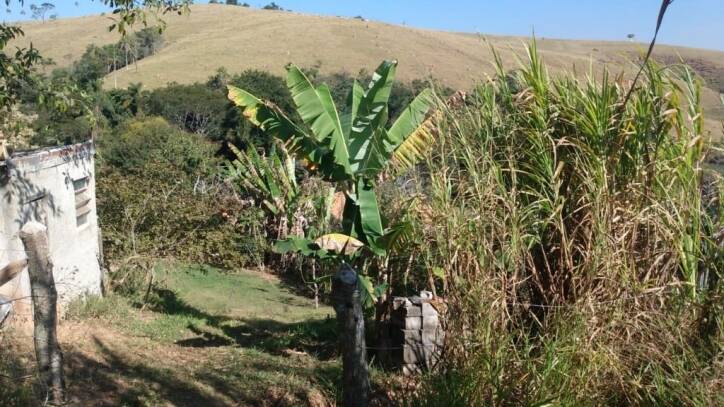 Chácara à venda com 2 quartos, 6000m² - Foto 26