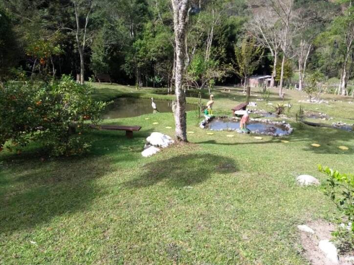 Sítio à venda com 4 quartos, 28000m² - Foto 2