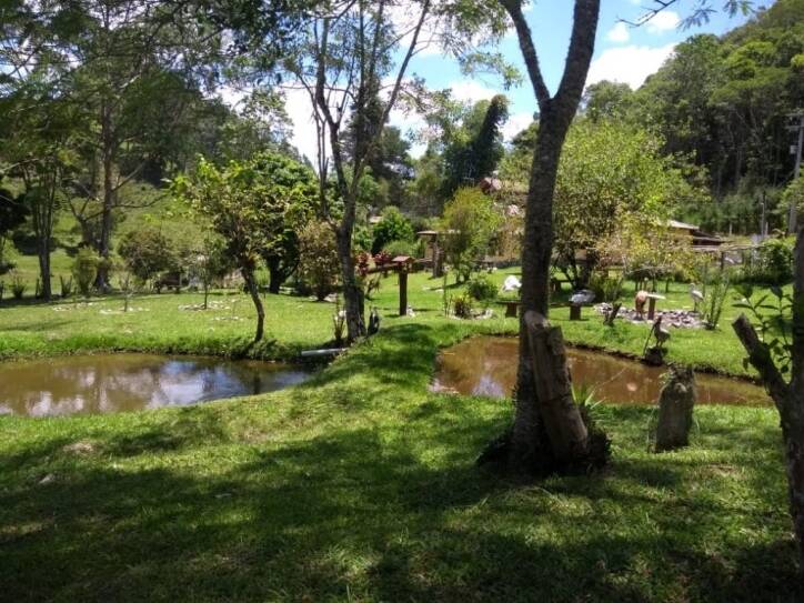 Sítio à venda com 4 quartos, 28000m² - Foto 13
