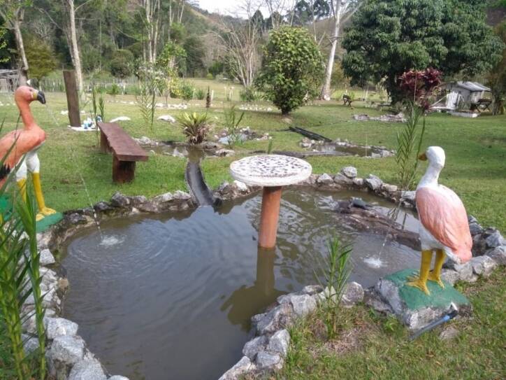 Sítio à venda com 4 quartos, 28000m² - Foto 17