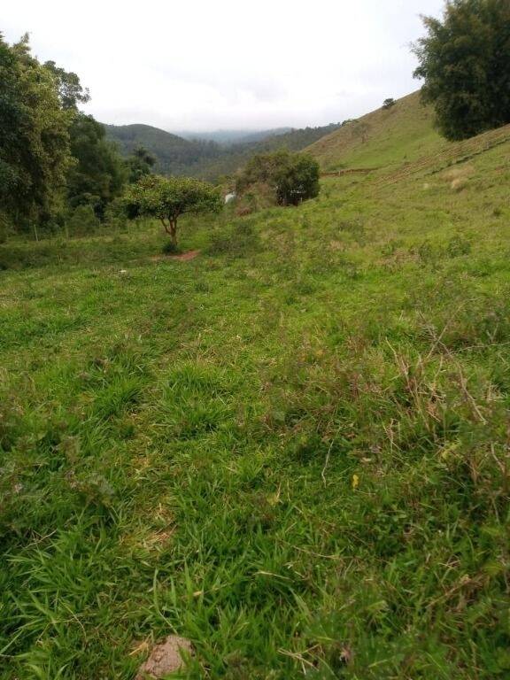 Sítio à venda com 2 quartos, 302500m² - Foto 1