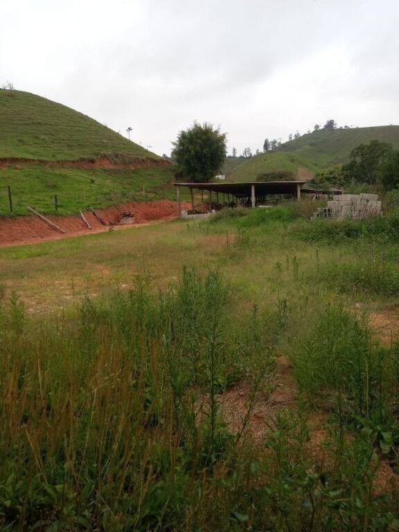 Sítio à venda com 2 quartos, 302500m² - Foto 6