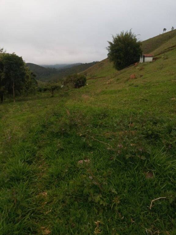 Sítio à venda com 2 quartos, 302500m² - Foto 11