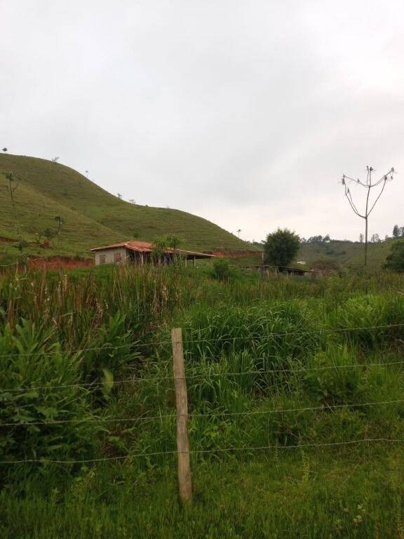 Sítio à venda com 2 quartos, 302500m² - Foto 12