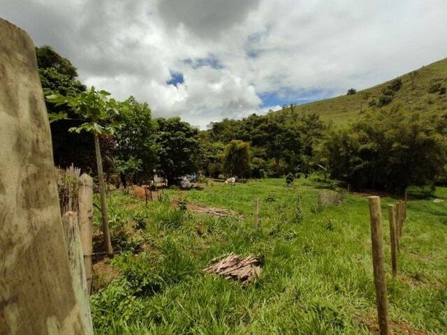 Sítio à venda com 4 quartos, 11000m² - Foto 4