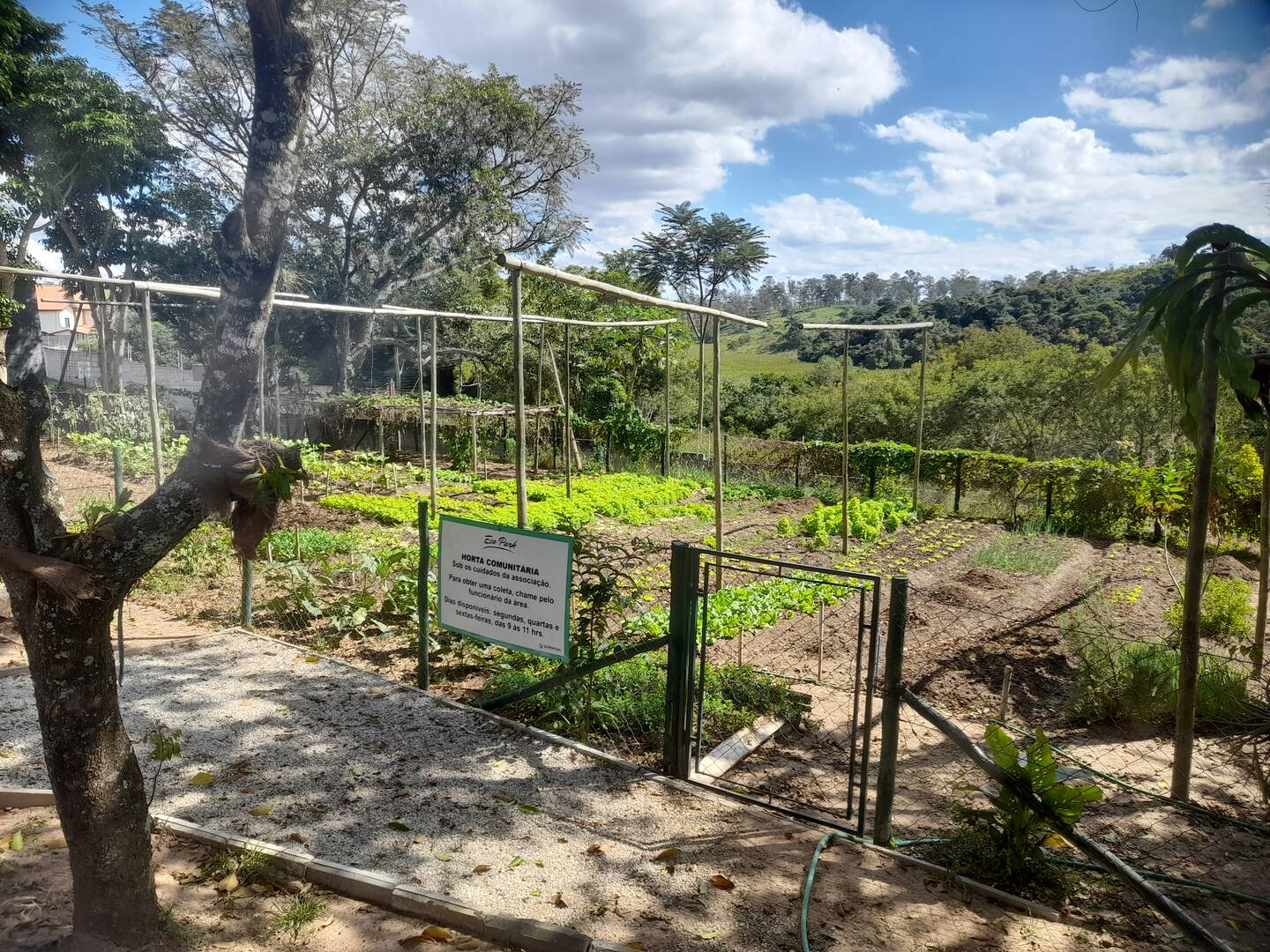 Terreno, 540 m² - Foto 12