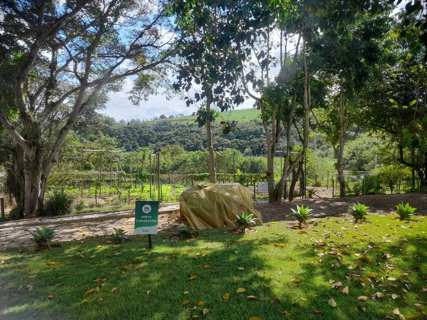 Terreno, 540 m² - Foto 14