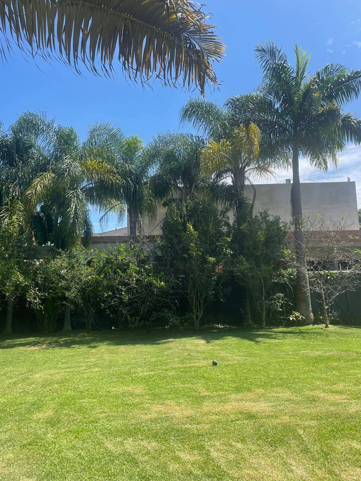 Casa à venda com 4 quartos, 320m² - Foto 9