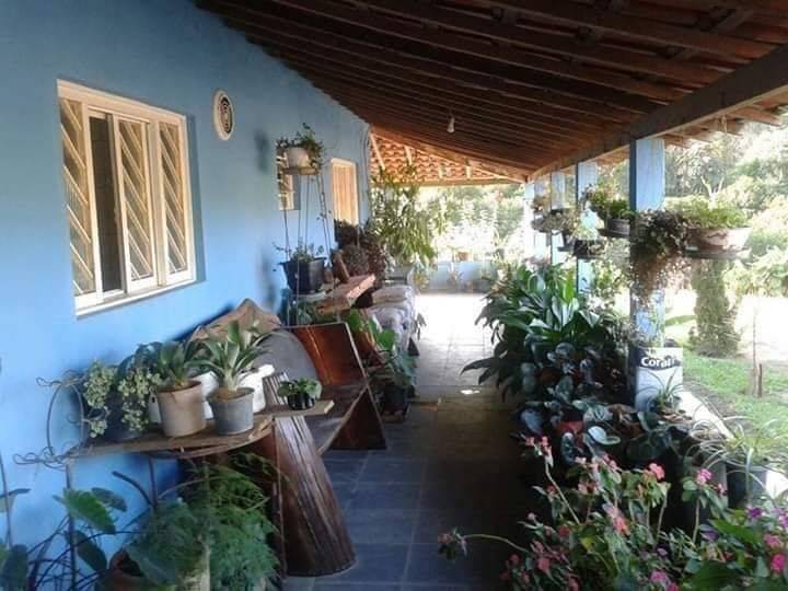 Sítio à venda com 4 quartos, 145200m² - Foto 3