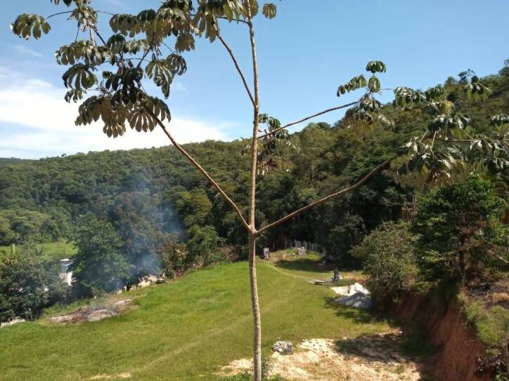 Chácara à venda com 2 quartos, 120m² - Foto 2
