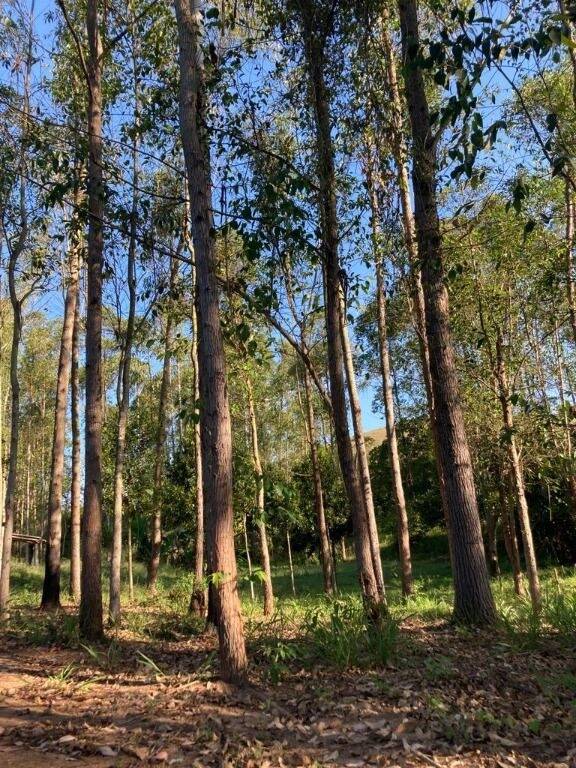 Chácara à venda com 2 quartos, 180m² - Foto 2