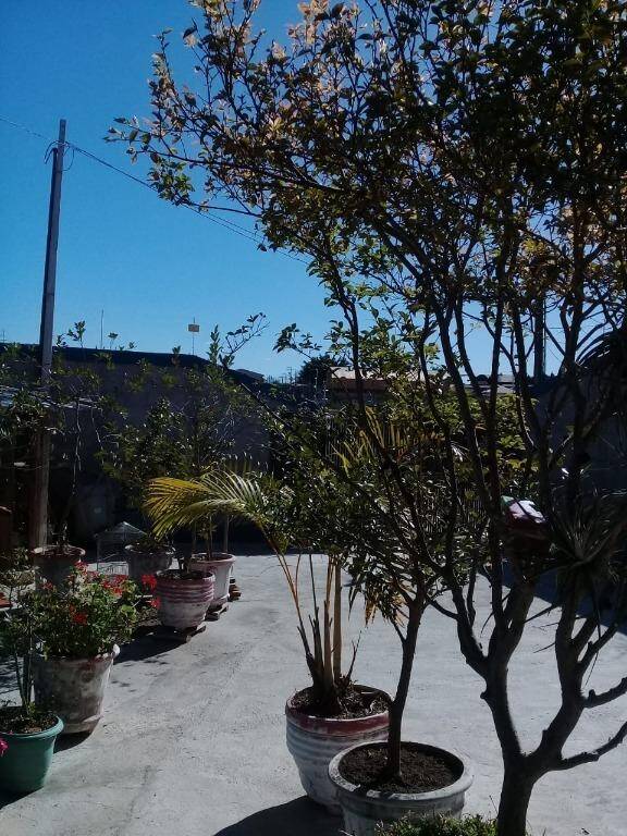 Chácara à venda com 3 quartos, 160m² - Foto 7