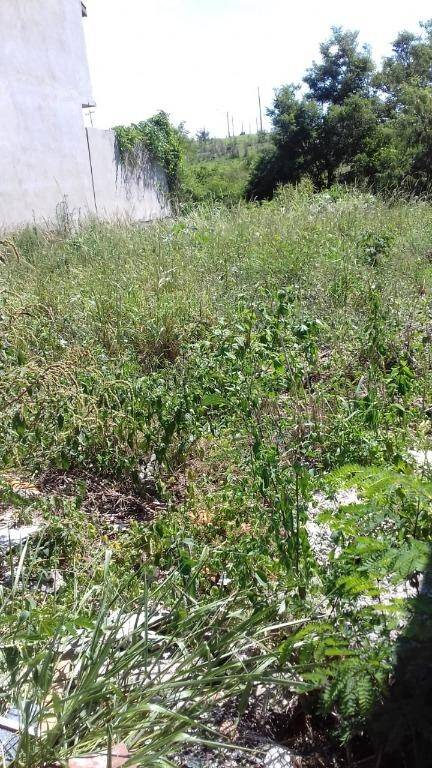 Terreno à venda, 304m² - Foto 2