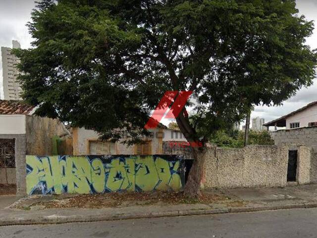 #TE0113 - Terreno para Venda em Taubaté - SP - 1