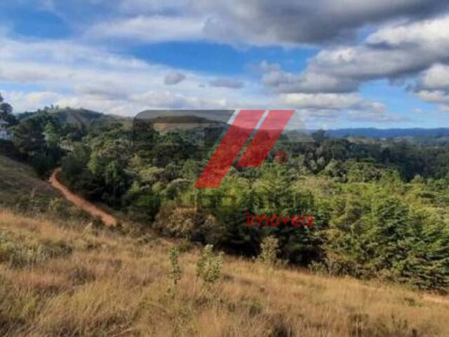 #TE0164 - Terreno para Venda em Campos do Jordão - SP - 3