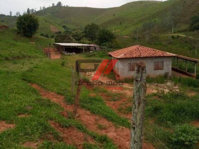 #SI0003 - Sítio para Venda em Taubaté - SP - 3